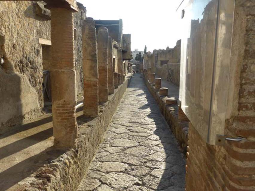 Herculaneum Cardo IV